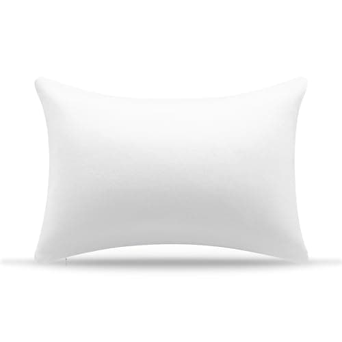 AM AEROMAX 12 x 20 Pillow