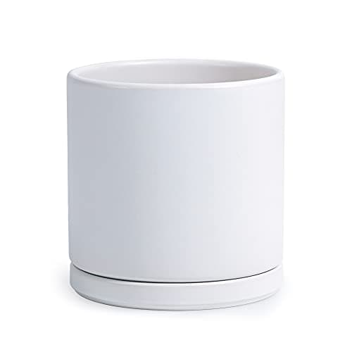 D'vine Dev 8 Inch Planter