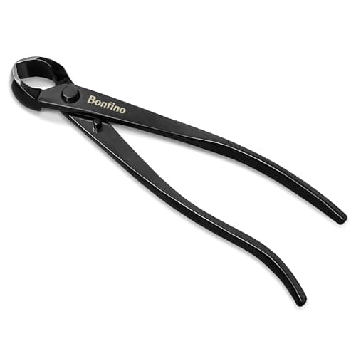 Bonfino Concave Cutter