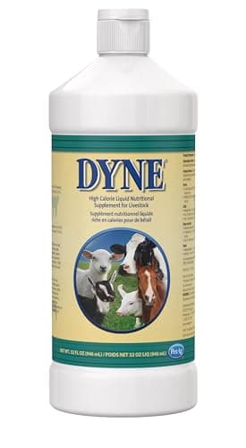 PetAg Dyne High Calorie Supplement