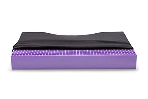 Purple Ultimate Seat Cushion