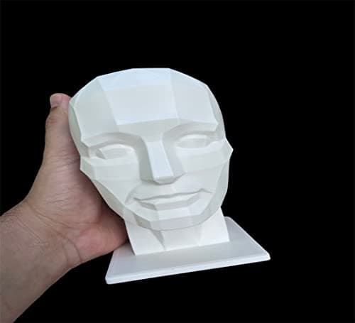Generic Planar Head Model
