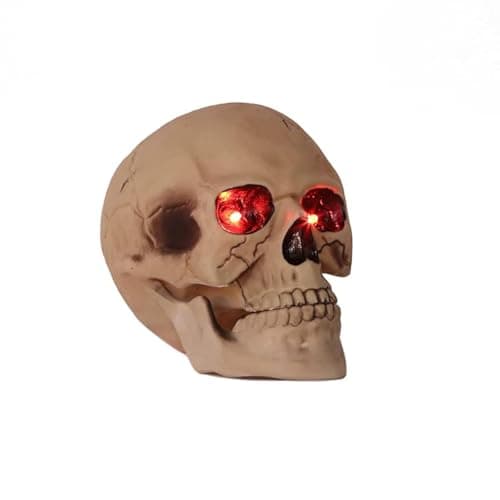 Sceobdok Skull Head Sculpture