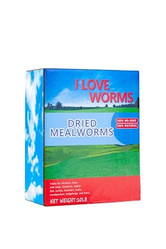 I LOVE WORMS Dried Mealworms