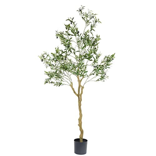 Nafresh Olive Tree