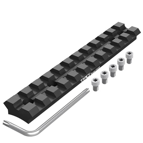 10/22 Picatinny Mount