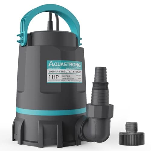 High-Flow 1HP Pump