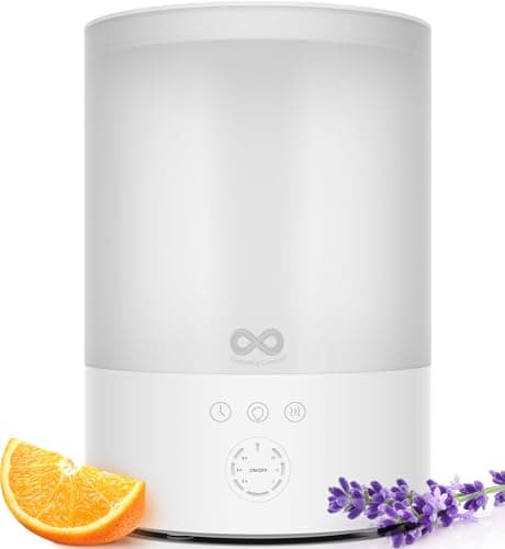 Everlasting Comfort Humidifier