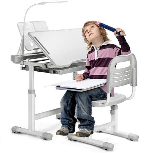 Rengue Kids Desk and Chair Set