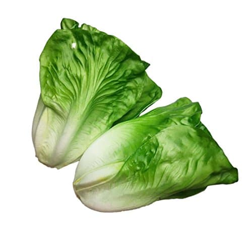 Lorigun Artificial Lettuce