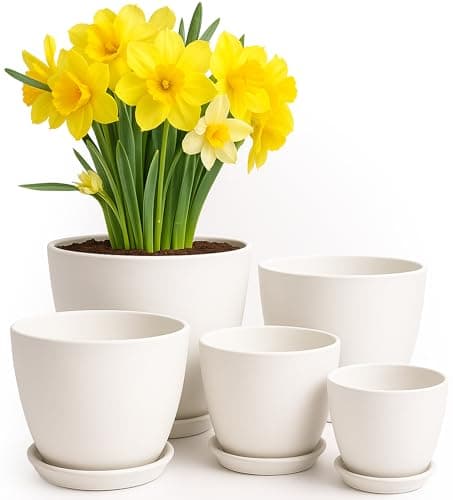 Utopia Home Indoor Plant Pots