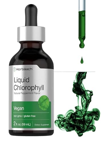 Review: The Best Chlorophyll Herbal Supplements