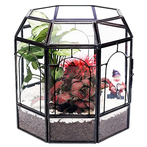 REDHUGO Terrarium