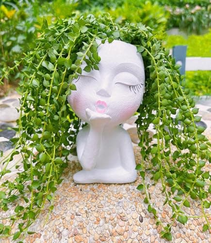 EylbKey Face Planter