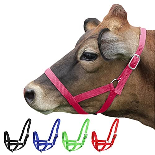 Derby Originals Cattle Halters