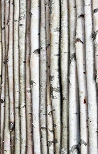 Wilson Decorative Birch Poles