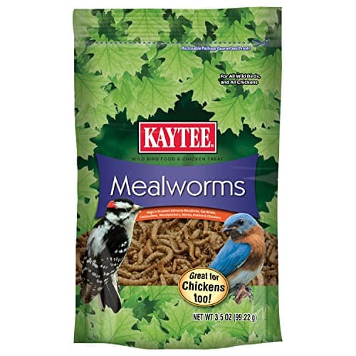 Kaytee Mealworms