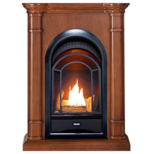 ProCom Dual Fuel Fireplace