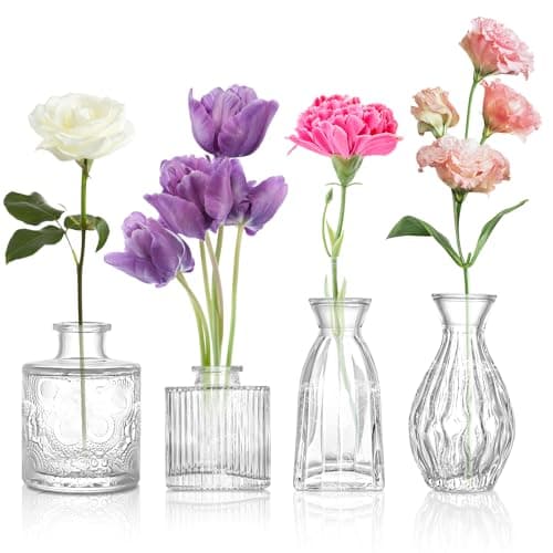 Review: The Best Vases