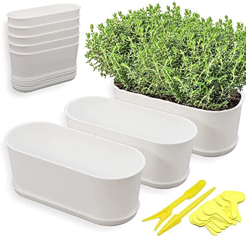 Torfican Window Herb Planter Set