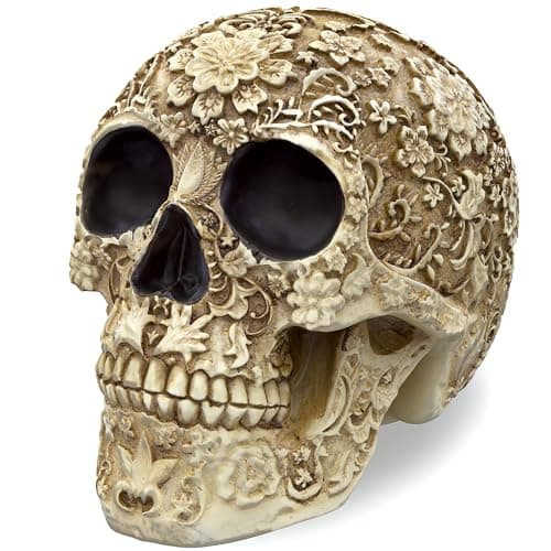 READAEER Skull Model