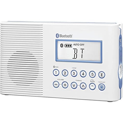 Sangean H202 Radio