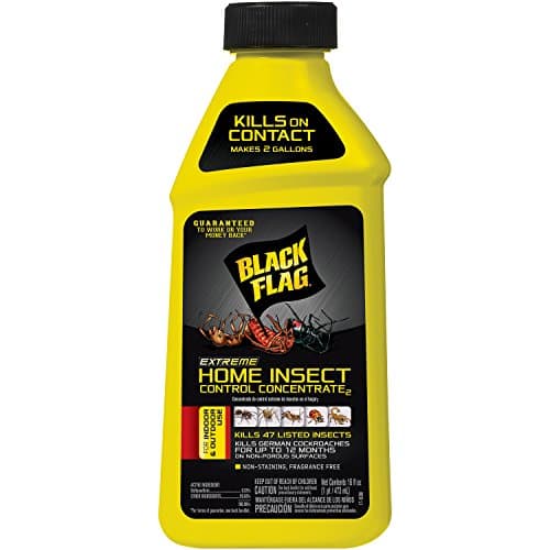 Black Flag Insect Control Concentrate