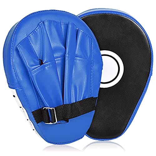 Review: The Best Punch Mitts