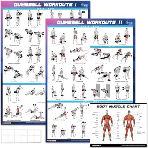 Premium Dumbbell Duo