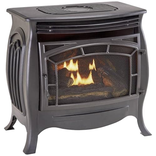 Duluth Forge Dual Fuel Stove