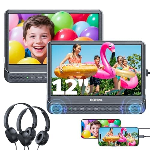 12" Dual DVD Headrest