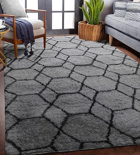ONASAR Area Rug 5x8