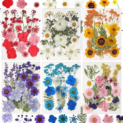 CONVELIFE Dried Flowers
