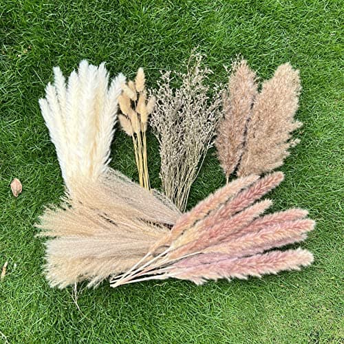CZCTLUL 100Pcs Pampas Grass
