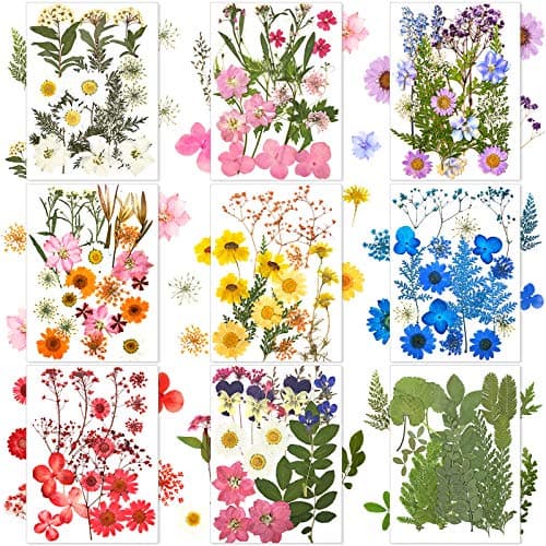 Nuanchu Dried Pressed Flowers